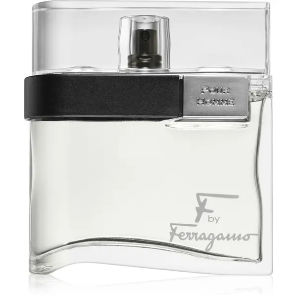 Ferragamo Ferragamo F by Ferragamo toaletna voda za moške 100 ml
