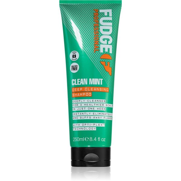 Fudge Fudge Clean Mint Shampoo šampon za mastne lase 250 ml