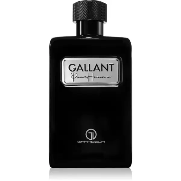 Grandeur Grandeur Gallant parfumska voda za moške 100 ml