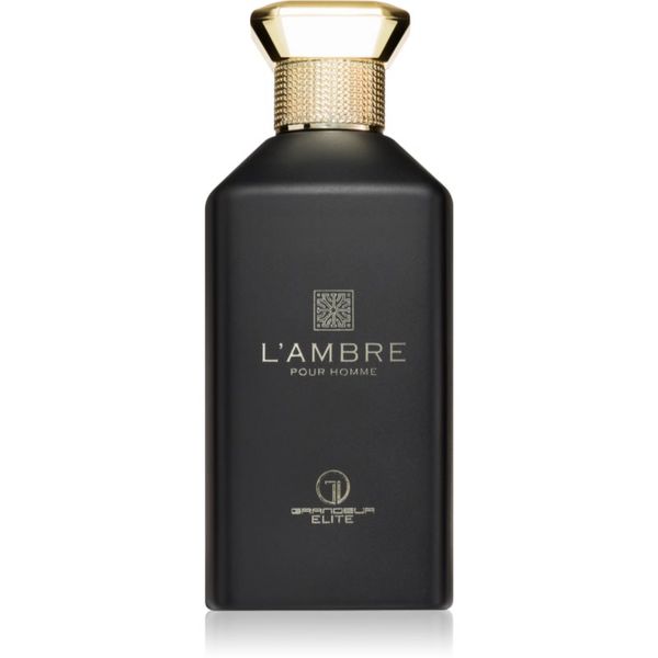 Grandeur Grandeur L'Ambre parfumska voda za moške 100 ml