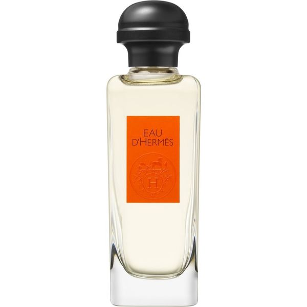 Hermès HERMÈS Eau d'Hermès toaletna voda uniseks 100 ml