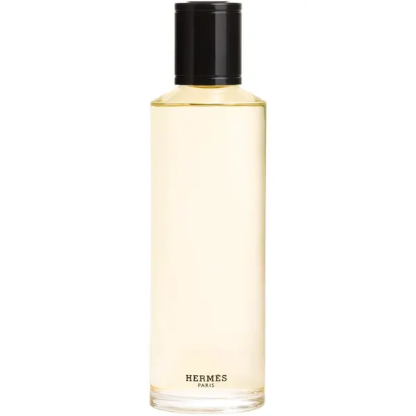 Hermès HERMÈS Terre d’Hermès Eau de Parfum Intense parfumska voda intense nadomestno polnilo za moške 200 ml