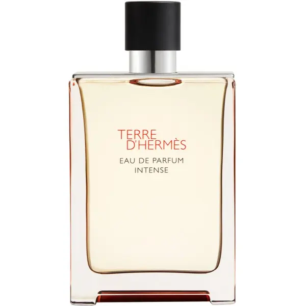 Hermès HERMÈS Terre d’Hermès Eau de Parfum Intense parfumska voda intense za moške 175 ml
