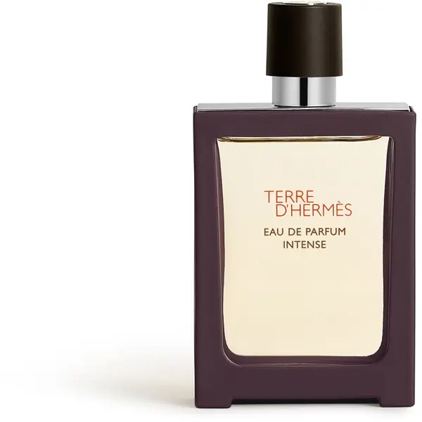 Hermès HERMÈS Terre d’Hermès Eau de Parfum Intense parfumska voda intense za moške 30 ml