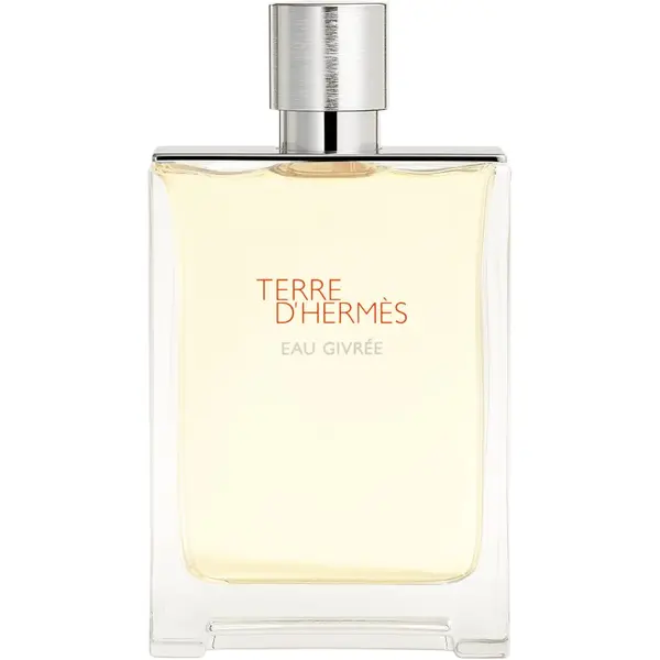 Hermès HERMÈS Terre d’Hermès Eau Givrée parfumska voda polnilna za moške 175 ml