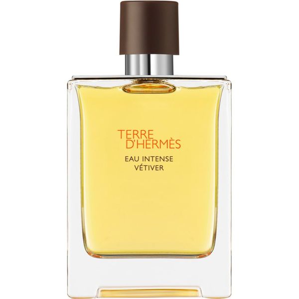 Hermès HERMÈS Terre d’Hermès Eau Intense Vétiver parfumska voda za moške 100 ml