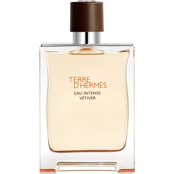 Hermès HERMÈS Terre d’Hermès Eau Intense Vétiver parfumska voda za moške 200 ml