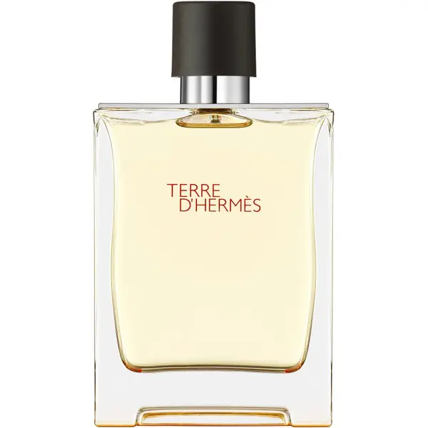 Hermès HERMÈS Terre d’Hermès toaletna voda za moške 200 ml