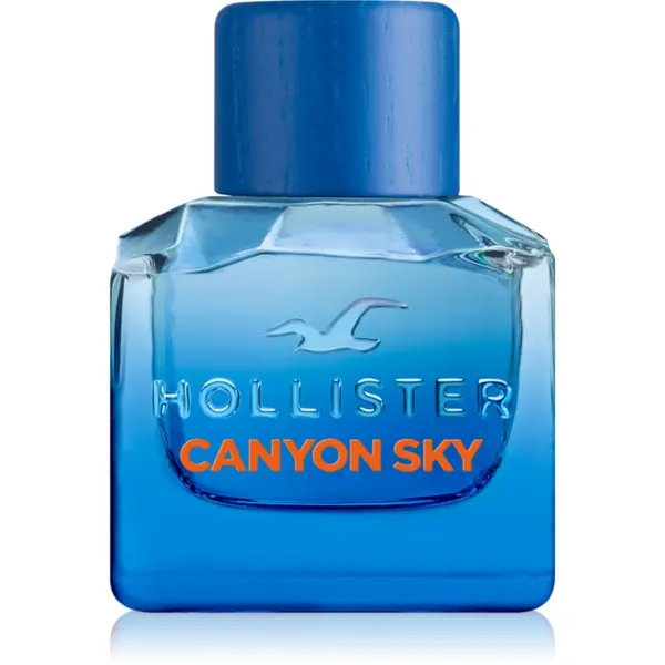 Hollister Hollister Canyon Sky For Him toaletna voda za moške 50 ml