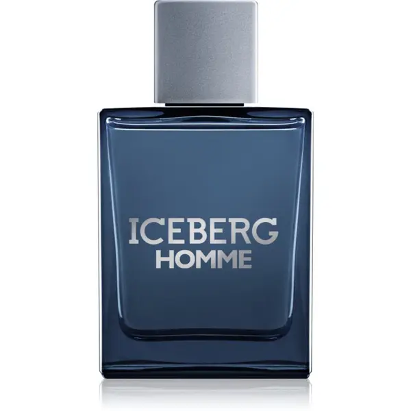 Iceberg Iceberg Homme toaletna voda za moške 100 ml