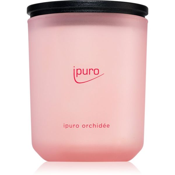 ipuro ipuro Classic Orchidée dišeča sveča 270 g