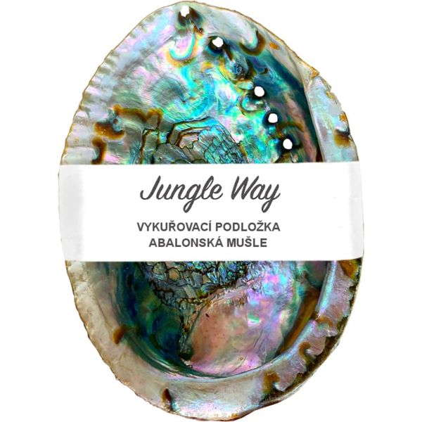 Jungle Way Jungle Way Abalone Shell držalo za kadilne palčke 1 kos