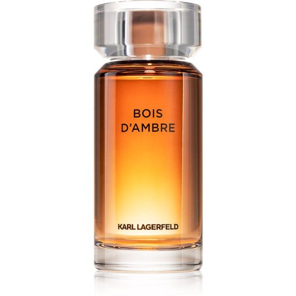 Karl Lagerfeld Karl Lagerfeld Bois d´Ambre toaletna voda za moške 100 ml