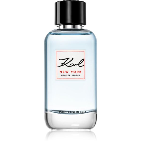 Karl Lagerfeld Karl Lagerfeld New York Mercer Street toaletna voda za moške 100 ml