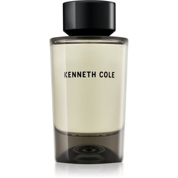 Kenneth Cole Kenneth Cole For Him toaletna voda za moške 100 ml