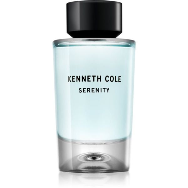 Kenneth Cole Kenneth Cole Serenity toaletna voda uniseks 100 ml