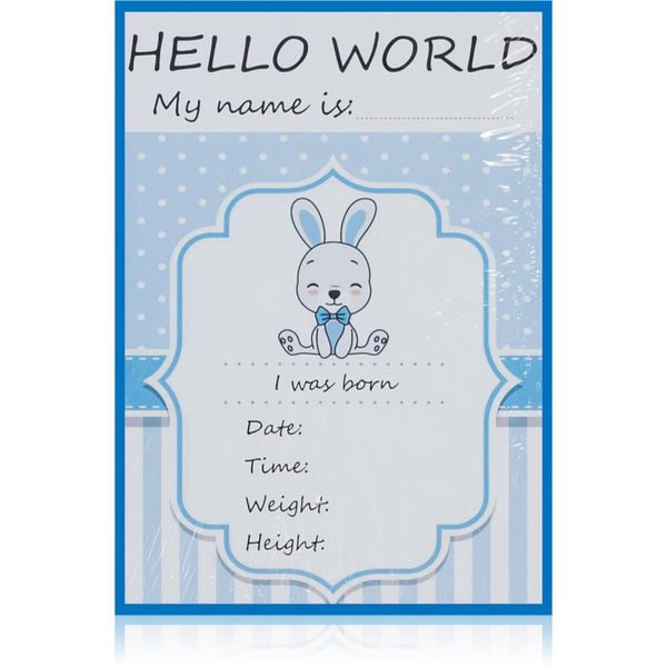 KidPro KidPro Milestone Cards Bunny For a Boy kartice z mejniki