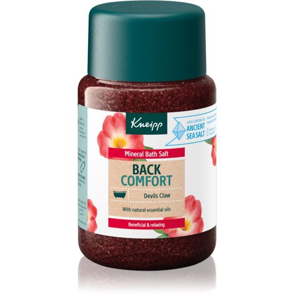 Kneipp Kneipp Back Comfort sol za kopel 500 g