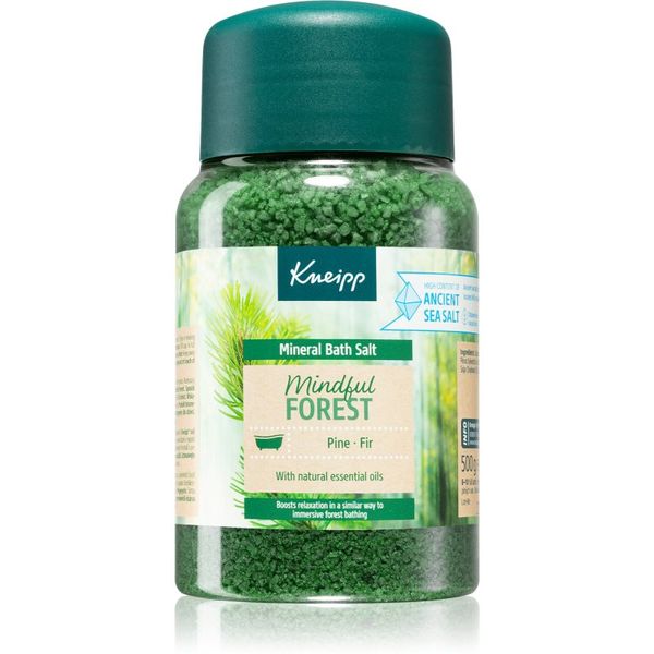 Kneipp Kneipp Mindful Forest sol za kopel 500 g