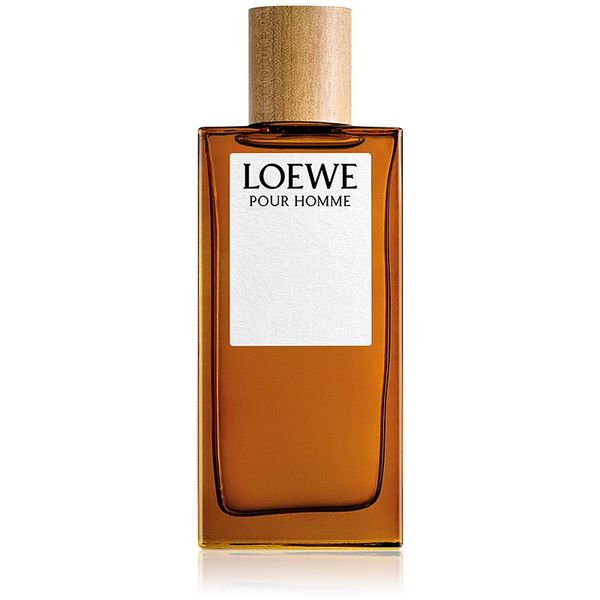 Loewe Loewe Loewe Pour Homme toaletna voda za moške 100 ml