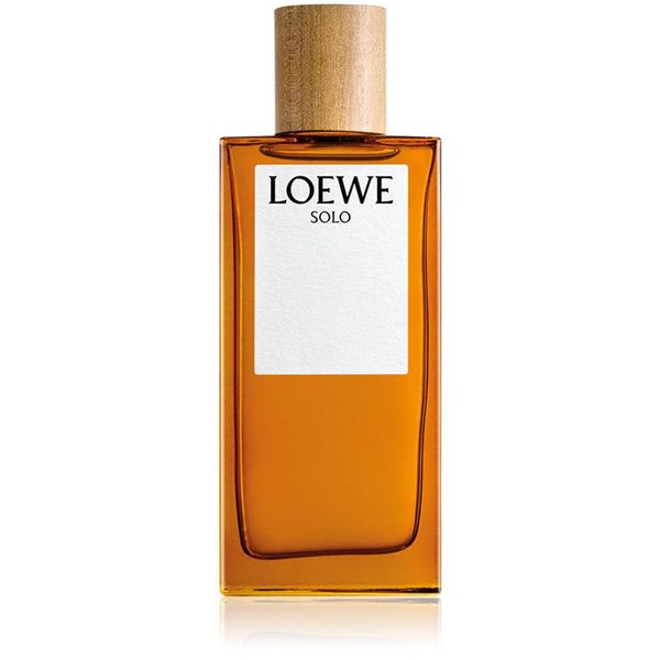 Loewe Loewe Solo toaletna voda za moške 100 ml