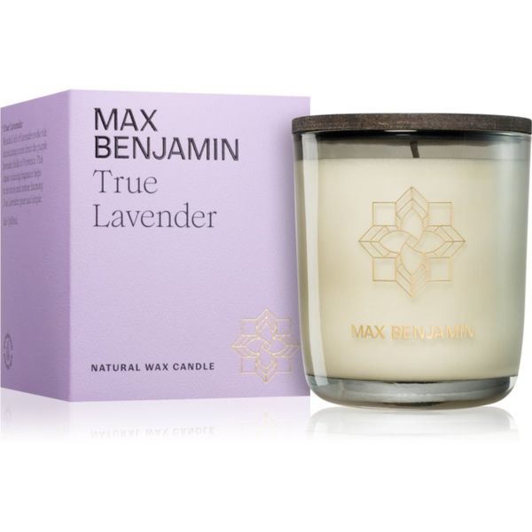 MAX Benjamin MAX Benjamin True Lavender dišeča sveča 210 g