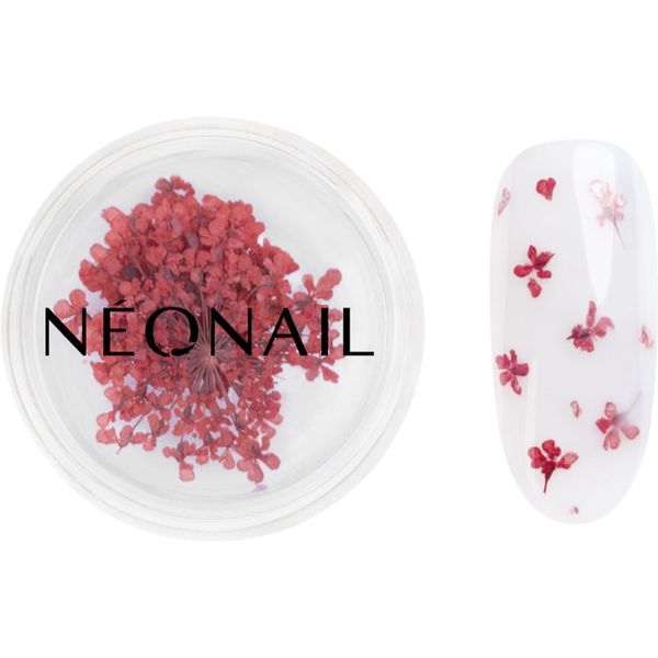 NeoNail NEONAIL Dried Flowers sušen cvet za nohte odtenek 08 Red 1 kos