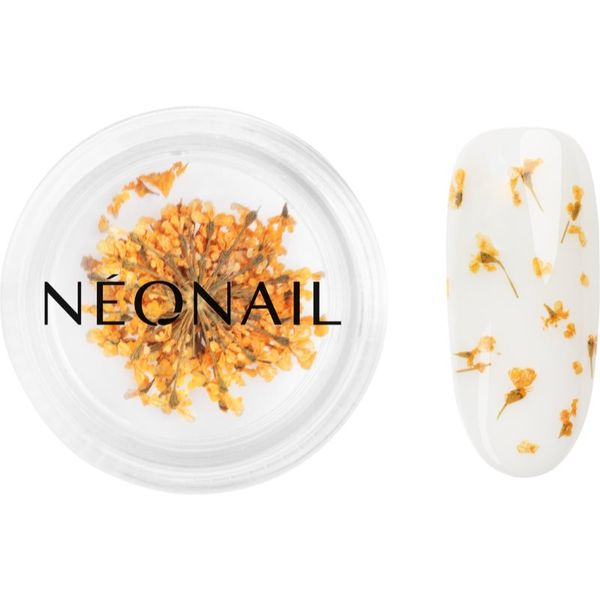 NeoNail NEONAIL Dried Flowers sušen cvet za nohte odtenek Orange 1 kos