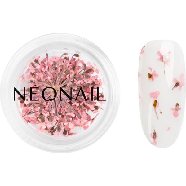 NeoNail NEONAIL Dried Flowers sušen cvet za nohte odtenek Pink 1 kos