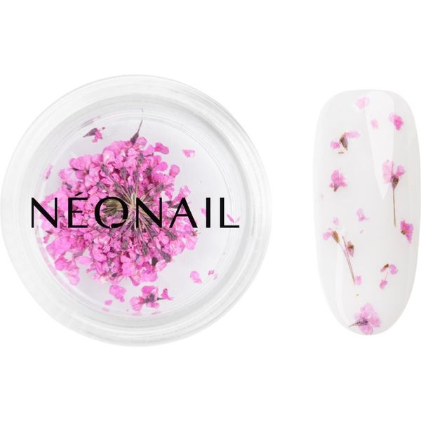 NeoNail NEONAIL Dried Flowers sušen cvet za nohte odtenek Purple 1 kos