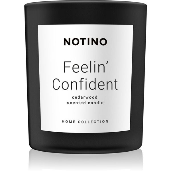 Notino Notino Home Collection Feelin' Confident (Cedarwood Scented Candle) dišeča sveča 220 g