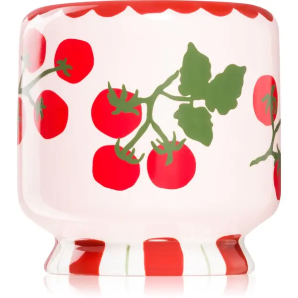 Paddywax Paddywax A Dopo Tomato Vine dišeča sveča 226 g