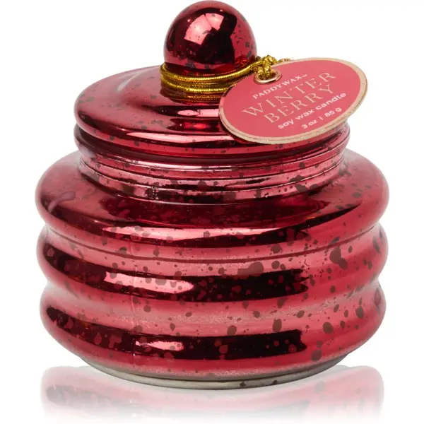 Paddywax Paddywax Winter Berry dišeča sveča 85 g