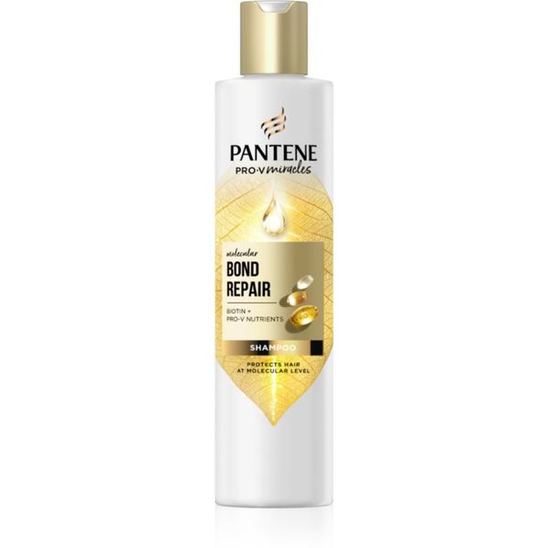Pantene Pantene Pro-V Bond Repair krepilni šampon za poškodovane lase z biotinom 250 ml