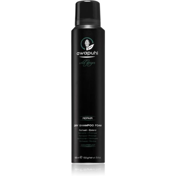 Paul Mitchell Paul Mitchell Awapuhi Wild Ginger penasti suhi šampon 195 ml