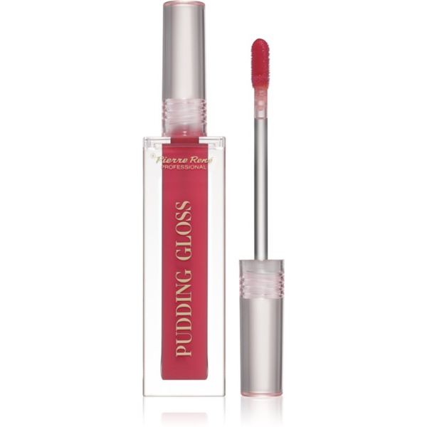 Pierre René Pierre René Professional Pudding Lip Gloss vlažilni sijaj za ustnice odtenek 02 Gloss Up Sweety 5 ml