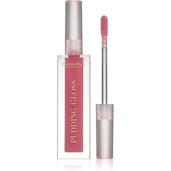 Pierre René Pierre René Professional Pudding Lip Gloss vlažilni sijaj za ustnice odtenek 03 Gloss Up Pretty 5 ml