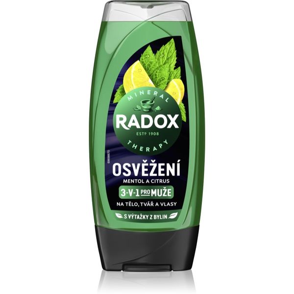 Radox Radox Men Feel Strong gel za prhanje in šampon 2v1 Mint & Tea Tree 225 ml