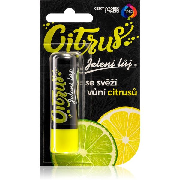 Regina Regina Citrus mazilo za ustnice citrus 4.5 g