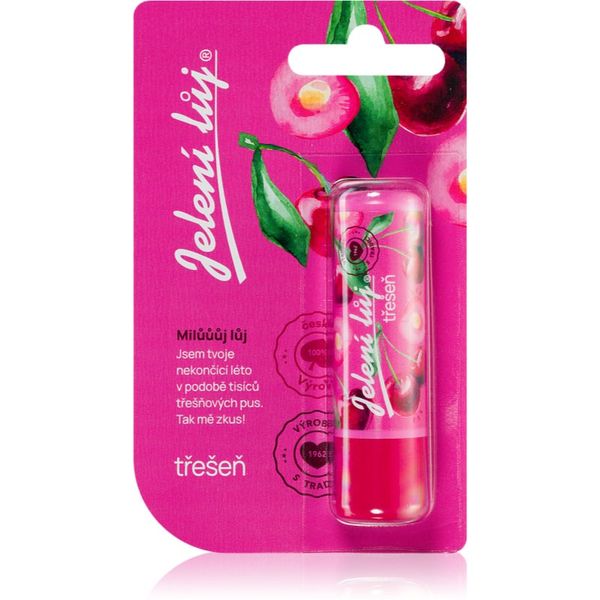 Regina Regina Juicy Summer Cherry mazilo za ustnice 4,5 g