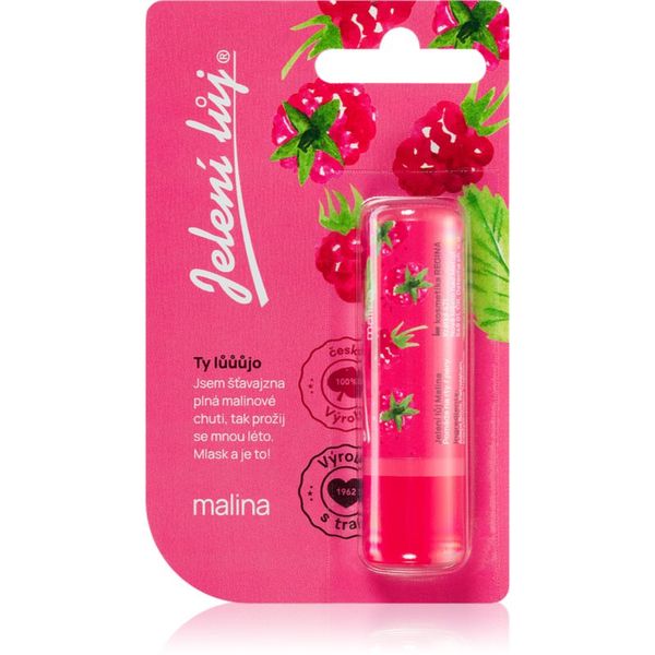 Regina Regina Juicy Summer Raspberry mazilo za ustnice 4,5 g