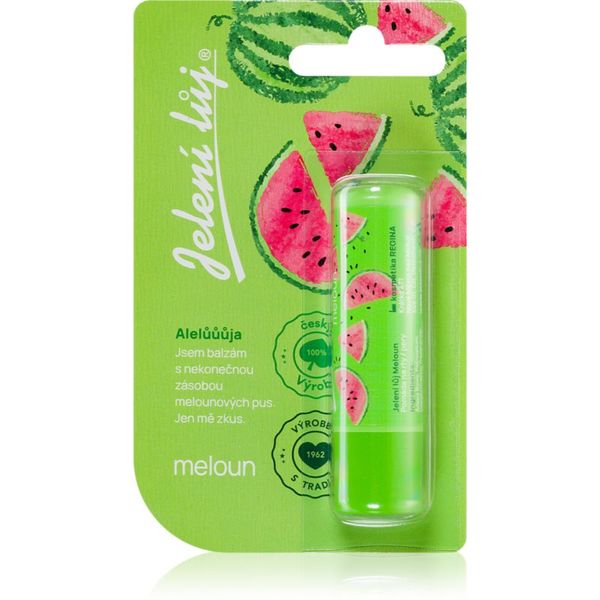 Regina Regina Juicy Summer Watermelon mazilo za ustnice 4,5 g