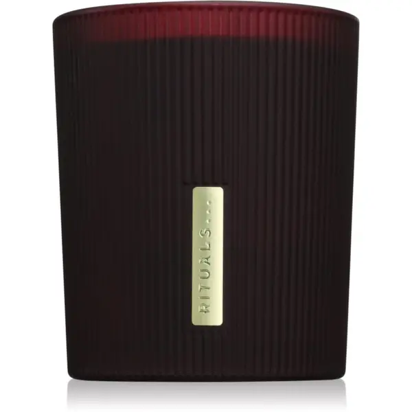 Rituals RITUALS The Ritual Of Ayurveda dišeča sveča 290 g