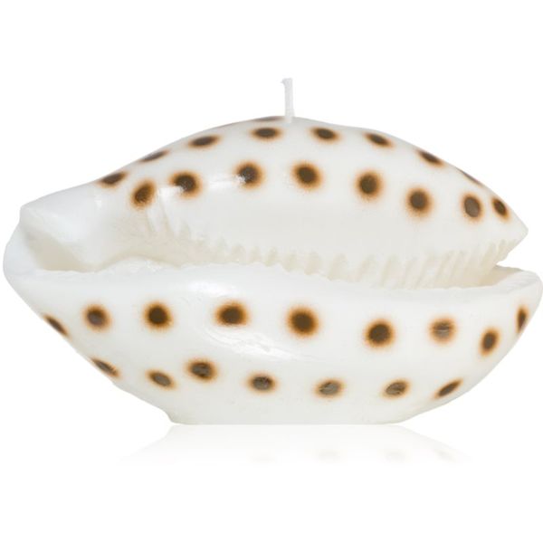 Rivièra Maison Rivièra Maison Shell sveča 716 g