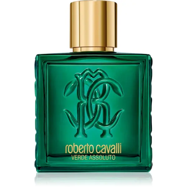 Roberto Cavalli Roberto Cavalli Uomo Verde Assoluto parfumska voda za moške 100 ml