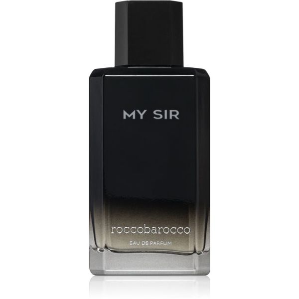 Roccobarocco Roccobarocco My Sir parfumska voda za moške 100 ml