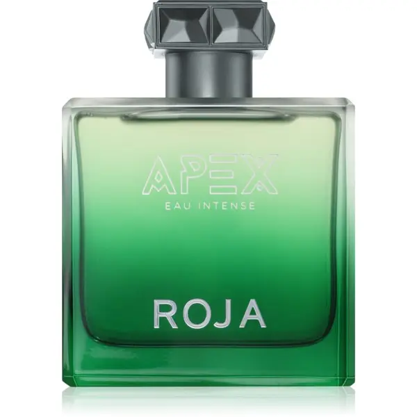 Roja Parfums Roja Parfums Apex Eau Intense parfumska voda za moške 100 ml