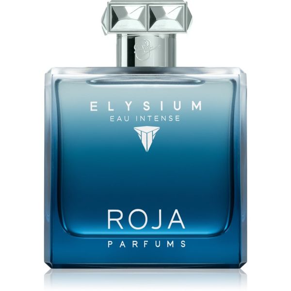 Roja Parfums Roja Parfums Elysium Eau Intense parfumska voda za moške 100 ml