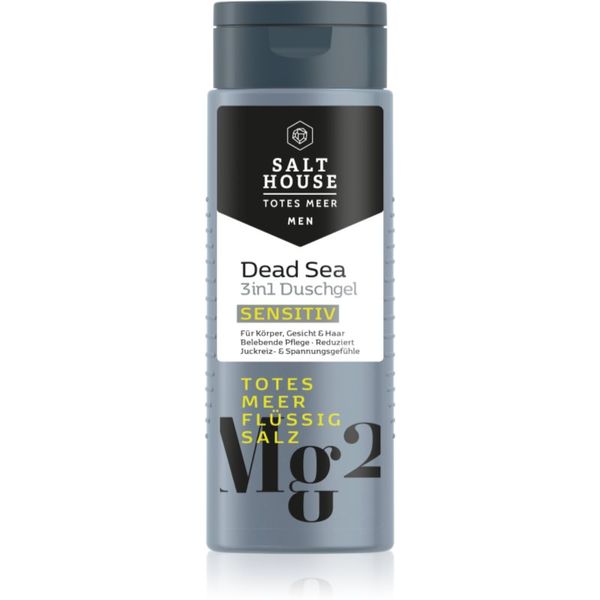 Salt House Salt House Dead Sea Men gel za prhanje za moške 3v1 250 ml