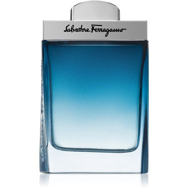 Salvatore Ferragamo Salvatore Ferragamo Subtil Pour Homme toaletna voda za moške 100 ml